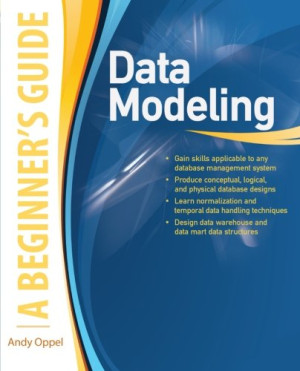 Image of Data Modeling: A Beginner's Guide