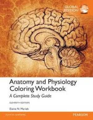 Image of Anatomy and Physiology Coloring Workbook a Complete Study Guide