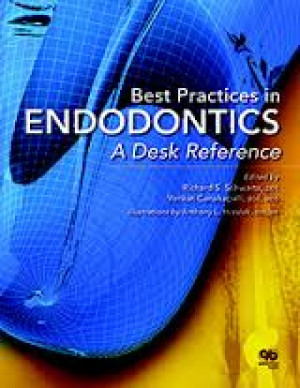 Image of Best Practices in Endodontics a Desk Reference