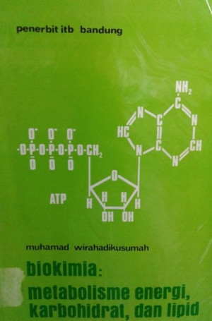 Image of Biokimia: metabolisme energi, karbohidrat, dan lipid