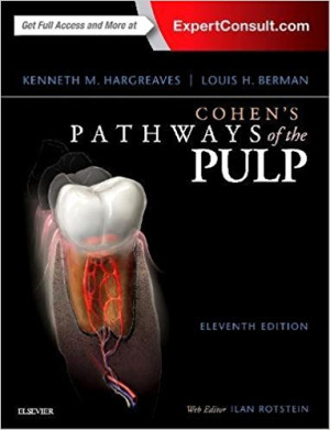 Image of Cohen's Pathways of The Pulp