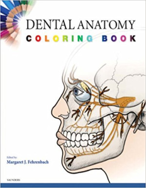 Image of Dental Anatomy Coloring Book