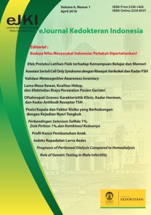 Image of Ejournal Kedokteran Indonesia
