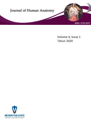 Image of Journal of Human Anatomy ( JHUA )