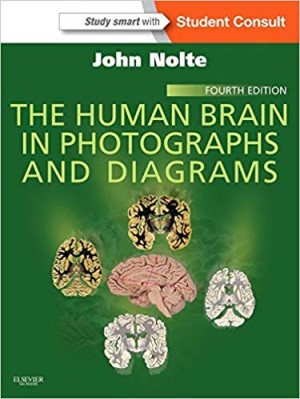 Image of The Human Brain In Photographs and Diagrams